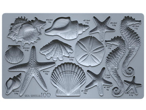 SEA SHELLS 6x10 6×10 IOD DECOR MOULDS™