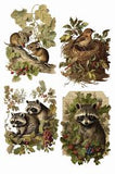 Iron Orchid Designs Holly Glen Transfer featuring raccoons, mice, and birds nest with holly leaves and berries, perfect for DIY decor and crafts